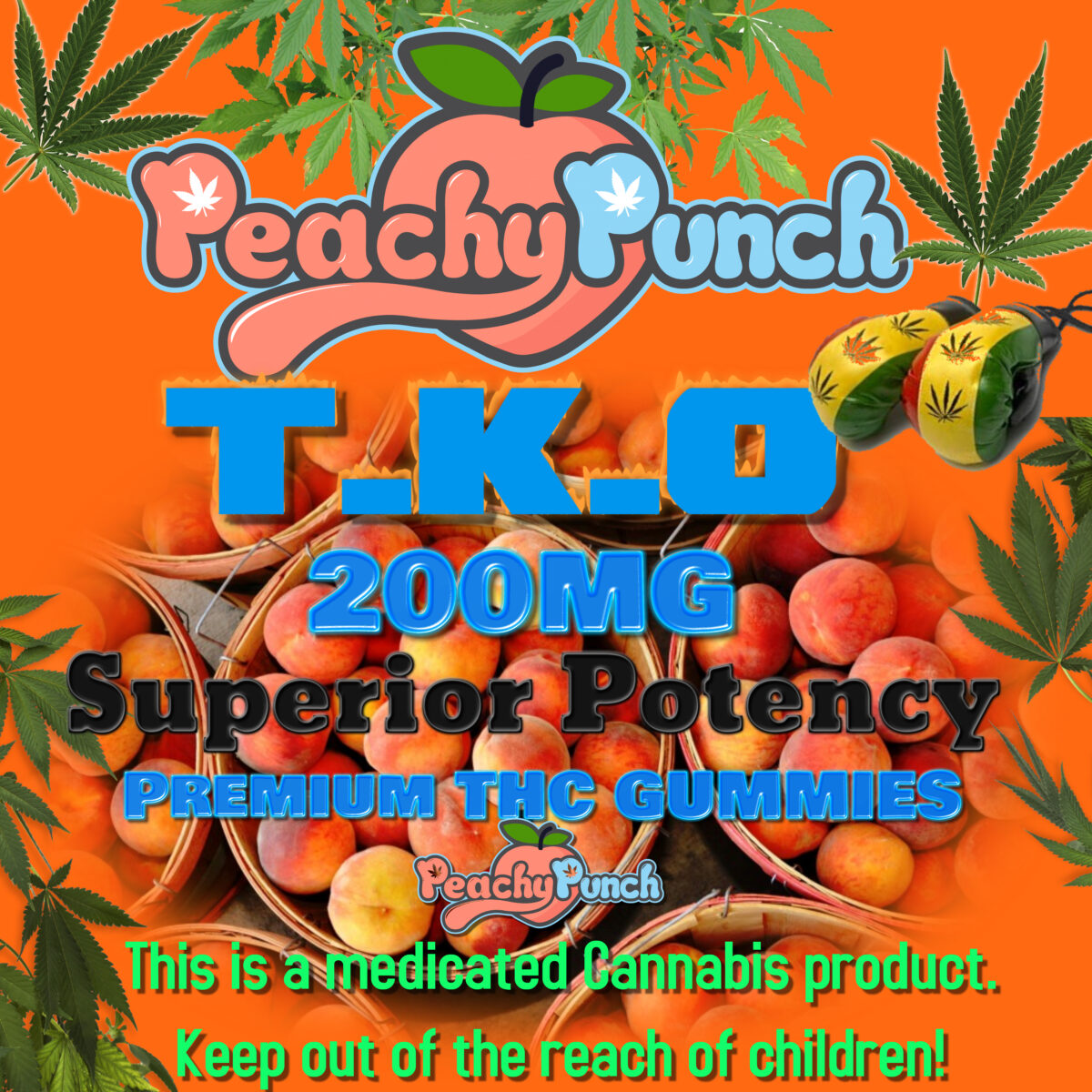 PEACHY PUNCH T.K.O!!! – HPD Southbay 